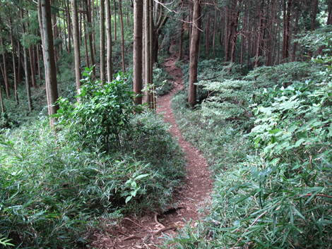 20171005hike (188)